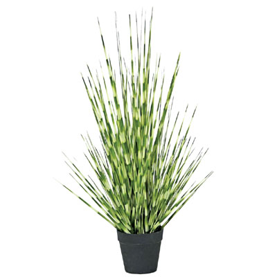 velda zebra rush artificial planth (xs)