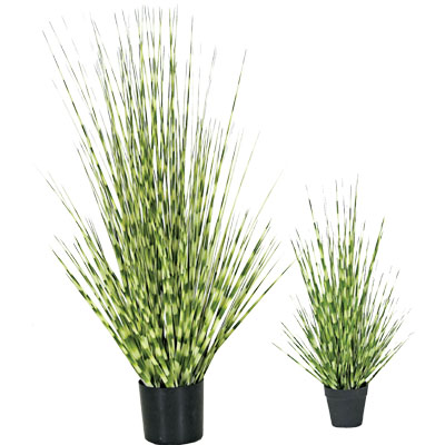 velda zebra rush artificial plants (twin pack)