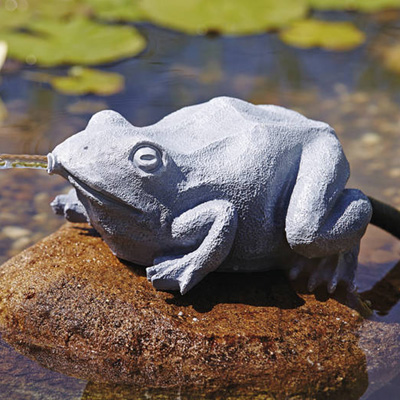 oase frog spitter with feature pump