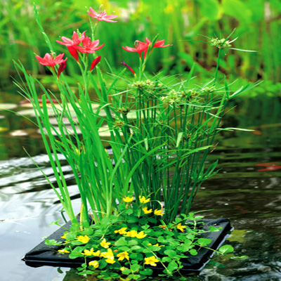 moerings floating planter 25cm square (bogof)