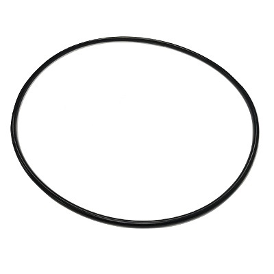 pondxpert easyfilter 4500 lid oring