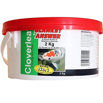 cloverleaf blanket answer (2kg)