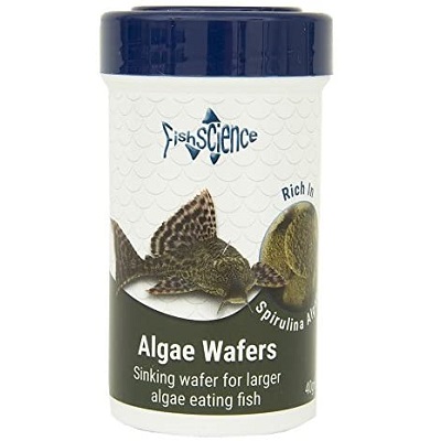 fish science algae wafers (40g)