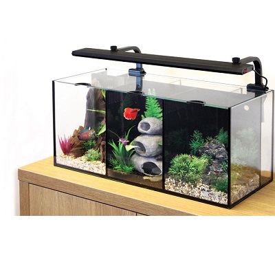 Aquarium Betta Trio 32L: Fish Tanks: Aquarium - Buy pond equipment