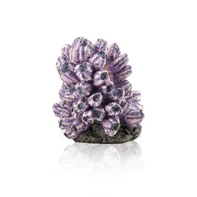 oase biorb barnacle cluster ornament