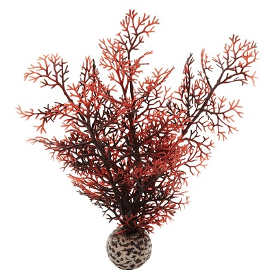 oase biorb sea fan small (crimson)