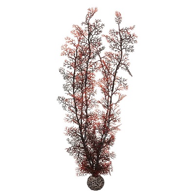 oase biorb sea fan (crimson, xl)