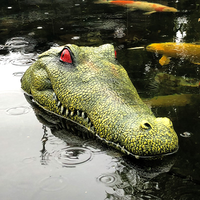 pondxpert floating crocodile head