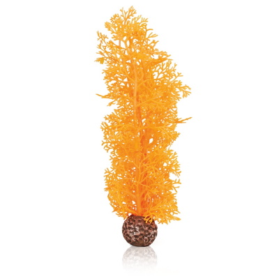oase biorb sea fan (orange, medium)