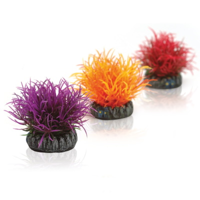 oase biorb aquatic colour ball (set of 3)