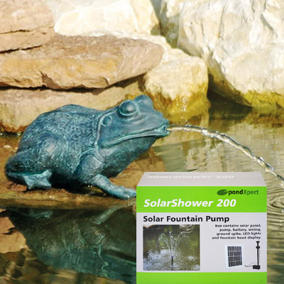 pondxpert crouching frog spitter (small) & solarshower 200