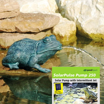 pondxpert crouching frog spitter (small) & solarpulse 250