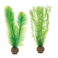 oase biorb feather fern set (small green)