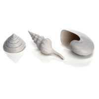 oase biorb sea shell set 3 (white)