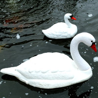 pondxpert ornamental floating swan (pair)
