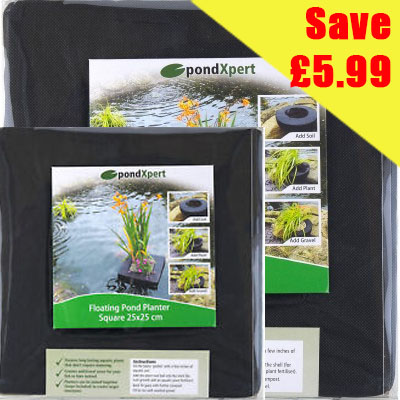 pondxpert square pond planters (25cm and 35cm set)