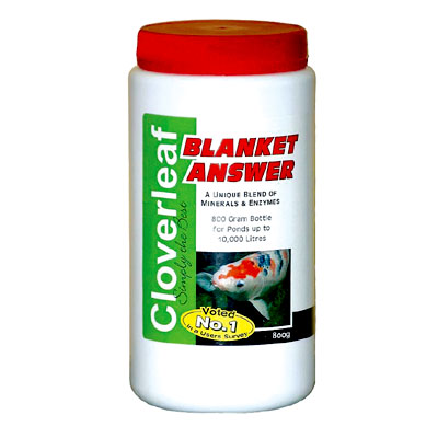 cloverleaf blanket answer (800g)
