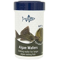 fish science algae wafers (40g)