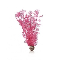 oase biorb sea fan (pink, medium)