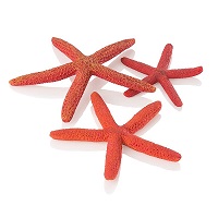 oase biorb starfish (set of 3, red)
