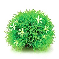 oase biorb topiary ball with daisies