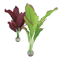 oase biorb silk plant set medium (green & purple)