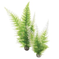 oase biorb aquatic winter fern (set of 2)