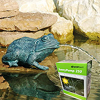 pondxpert crouching frog spitter (small) & sunnypump 250