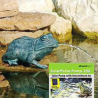 pondxpert crouching frog spitter (small) & solarpulse 250